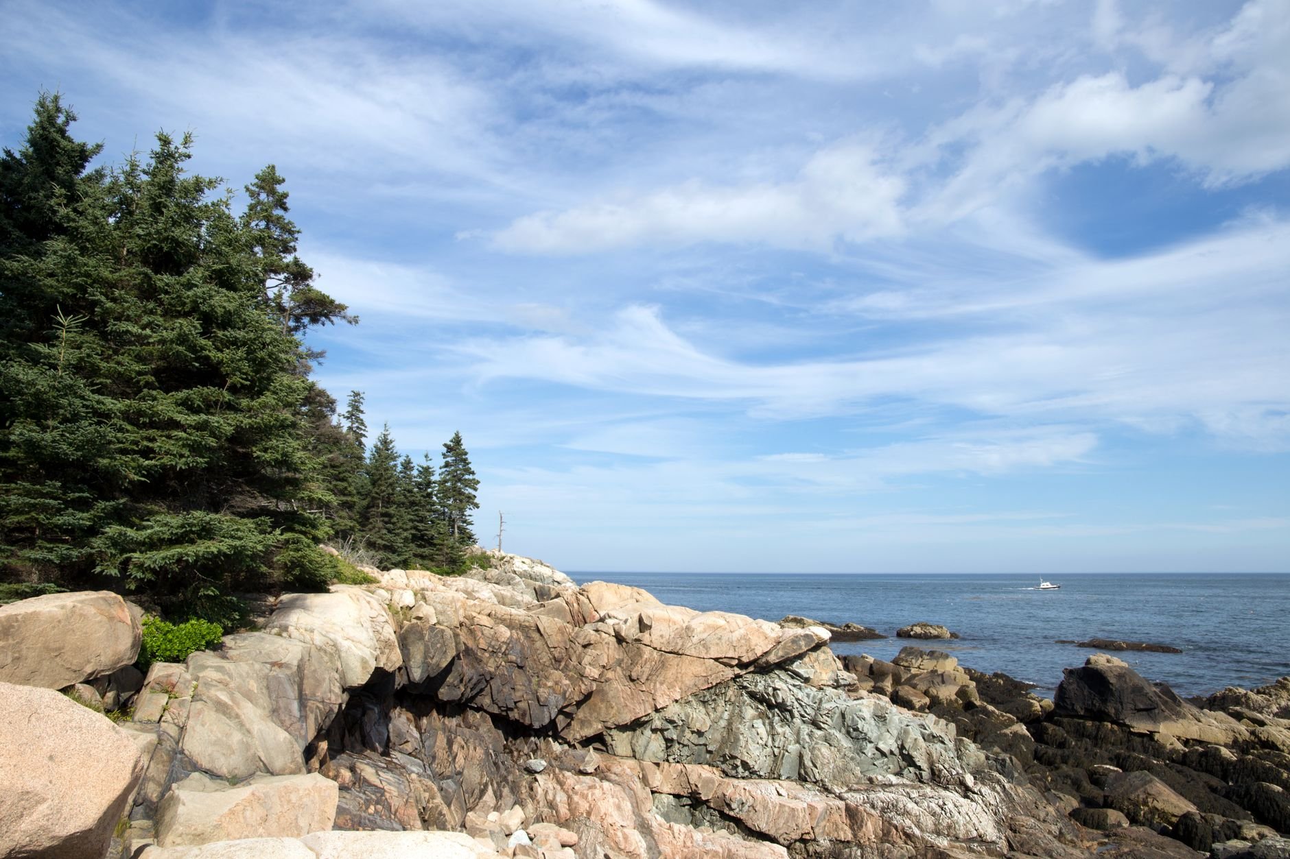 Scenic coastal view with rocky shoreline and lush pine trees against a blue sky.